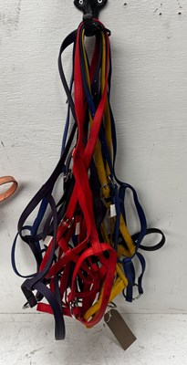 Lot 1057 - Eight full size biothane thin underhalters. This lot carries VAT.