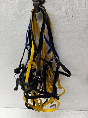 Lot 1058 - Eight cob size biothane thin underhalters. This lot carries VAT.