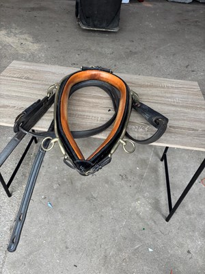 Lot 1064 - 21" black collar with hames and traces