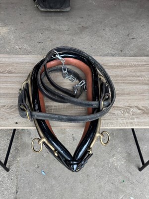 Lot 1065 - Black trade collar with hames and traces