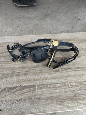 Lot 1070 - Small pony bridle