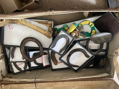 Lot 1077 - Vintage travel trunk containing an assortment of horseshoes and farrier related items. All from a farrier museum