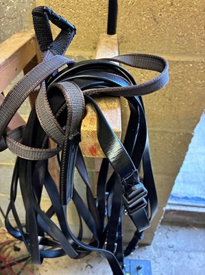 Lot 1102 - Cob size Zilco pairs reins