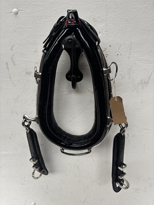 Lot 1125 - 15" collar. This lot carries VAT.