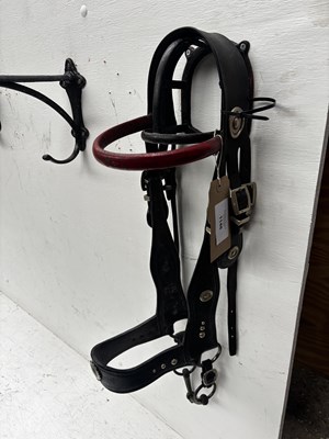 Lot 1148 - In-hand bridle. This lot carries VAT.