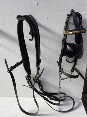 Lot 1291 - Black and brass breast collar together with a black and brass bridle with patent blinkers