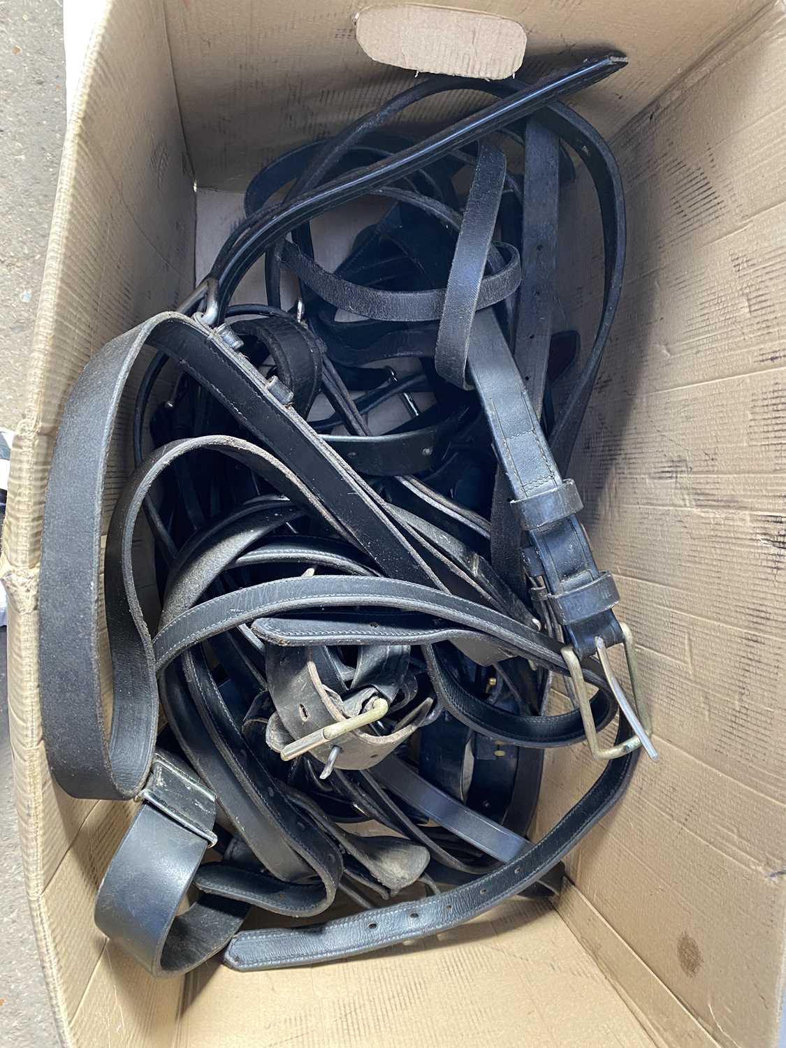 Lot 1304 - Box of assorted black harness parts
