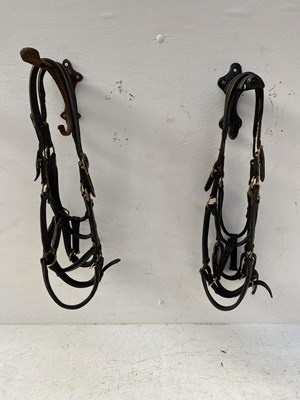 Lot 1315 - Four matching brass-mounted headcollars