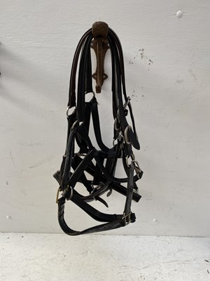 Lot 1316 - Four white metal-mounted headcollars