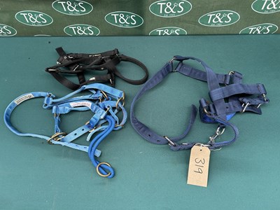 Lot 319 - Three headcollars