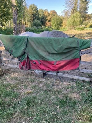 Lot 356 - Two 6ft medium outdoor rugs with detachable neck covers