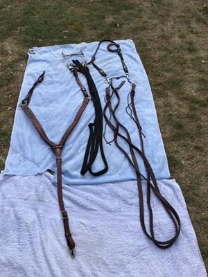 Lot 357 - Cob size western bridle