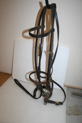 Lot 371 - In-hand bridle