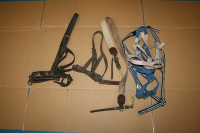 Lot 378 - Headcollars and a lunge cavesson