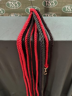 Lot 383 - 10 leadropes. This lot carries VAT.