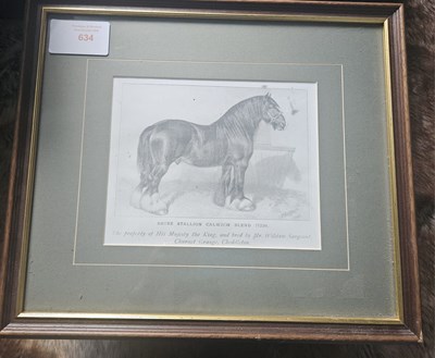 Lot 634 - Picture of a shire stallion, name plate reads the name of the horse as 'Galwich blend'.
