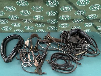Lot 741 - Single harness with extra pair of saddles and a pair of extra bridles with bits