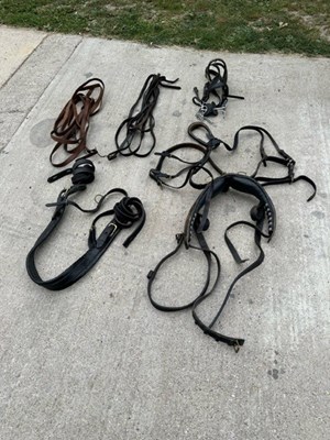 Lot 744 - 14-16hh breast harness with two sets of reins