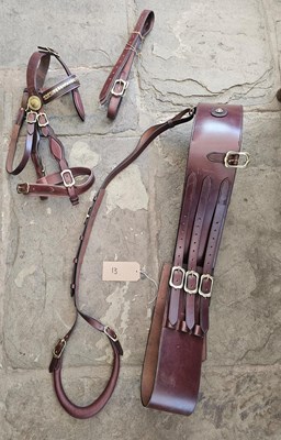 Lot 745 - Set of new brown and brass in hand stallion show harness made and stamped by R Flockton