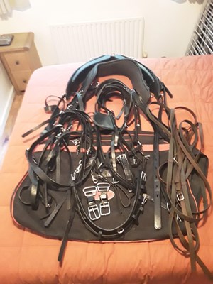 Lot 748 - Set of Zilco harness to fit a section D cob, 15.2hh