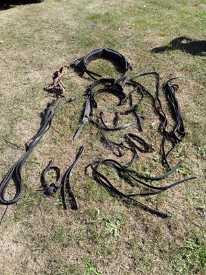 Lot 749 - Set of Zilco George Bowman harness to fit a section D cob, 15hh