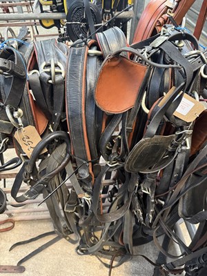 Lot 752 - Full size exercise harness to suit a pair