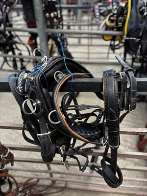 Lot 753 - Set of black and white metal harness to fit a small pony