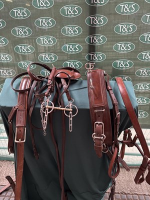 Lot 754 - Set of brown and white metal harness, previously used on a Friesian horse