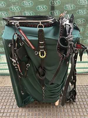 Lot 764 - Set of pony size black and white metal harness. This lot carries VAT.