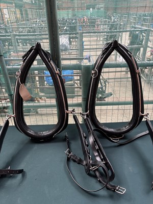 Lot 767 - Set of black and white metal pair harness with 22" collar. This lot carries VAT.