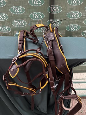 Lot 768 - Set of pony size webbing harness. This lot carries VAT.