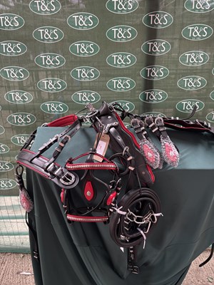 Lot 769 - Set of mini Shetland trade harness. This lot carries VAT.