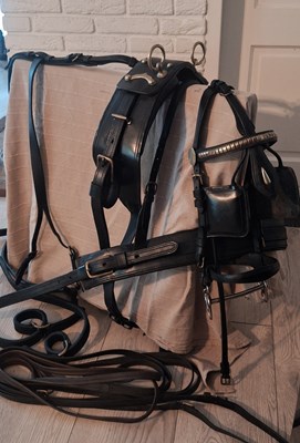 Lot 773 - Cob size black leather trade harness with brass fittings