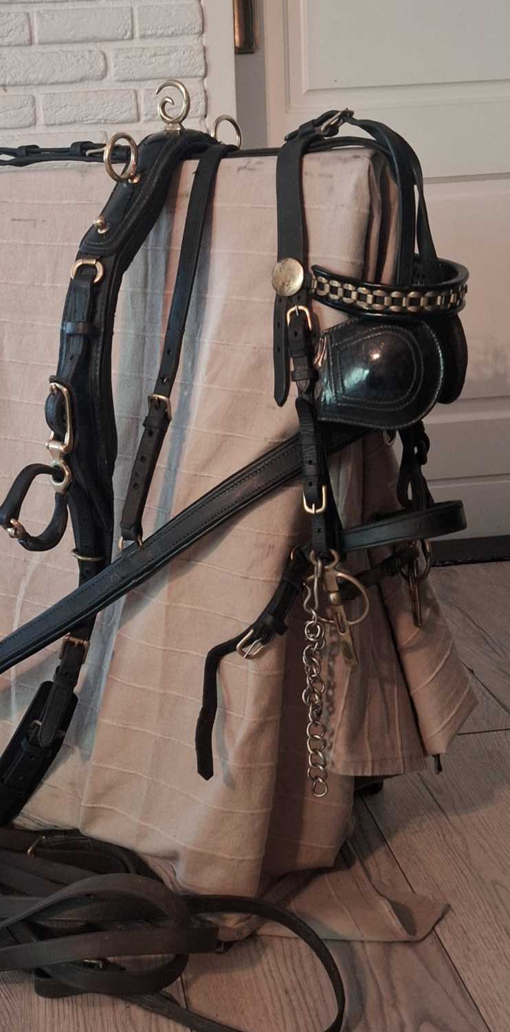 Lot 775 - Hackney/Welsh black patent leather show