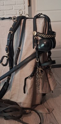 Lot 775 - Hackney/Welsh black patent leather show harness with brass fittings and tilbury tugs