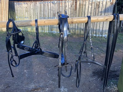 Lot 777 - Set of black leather pony harness