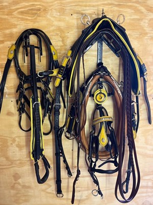 Lot 778 - Black leather Tyler harness with yellow piping to suit 14 - 15hh cob.