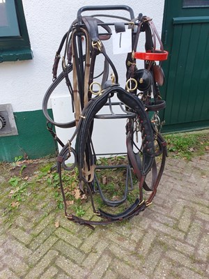 Lot 779 - Set of breast harness