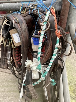 Lot 838 - Driving harness and collar and brasses