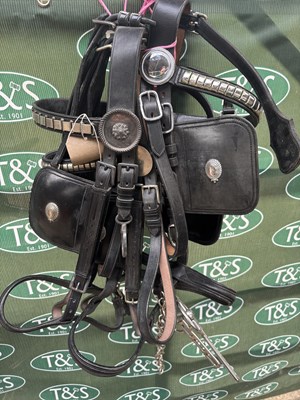 Lot 843 - Three black leather bridles with white metal fittings, with bit and curb chain
