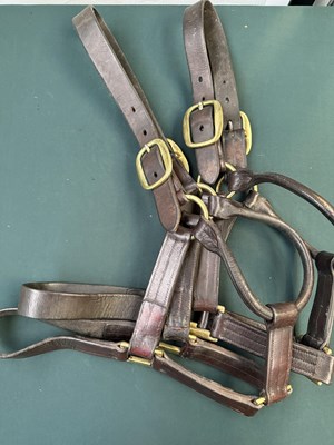 Lot 852 - Two brown leather headcollars with brass fittings, shire size