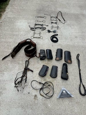 Lot 870 - Selection of bits, pony bridle and selection of pony/horse boots