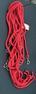 Lot 900 - Ten leadropes. This lot carries VAT.