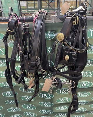 Lot 731 - Set of black leather harness