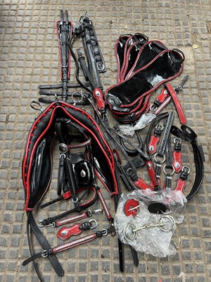 Lot 732 - Set of red and black patent leather harness
