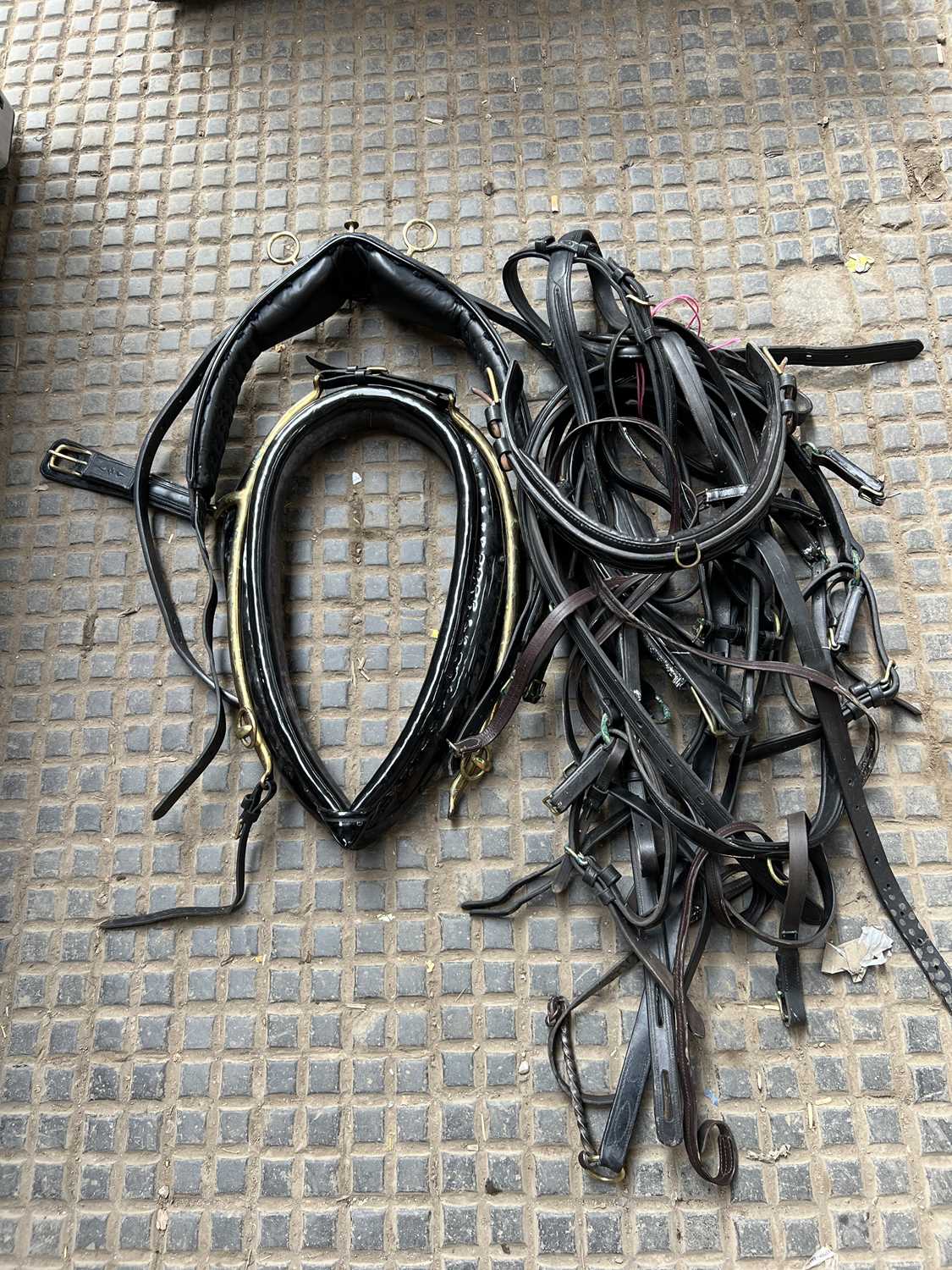 Black patent leather harness - Don't Care Anymore
