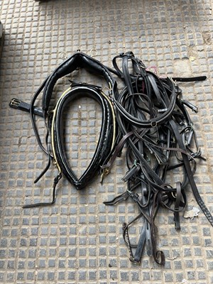 Lot 733 - Set of black patent leather harness