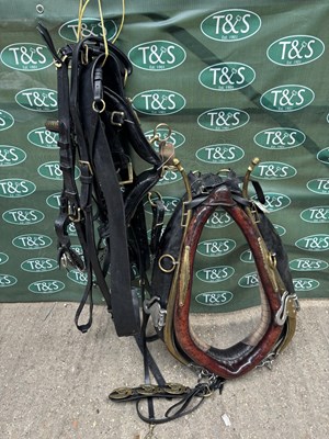 Lot 737 - Set of black leather heavy horse harness