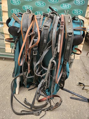 Lot 781 - Set of black driving harness to suit a cob