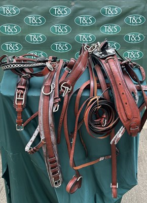 Lot 782 - Set of breast harness brown leather